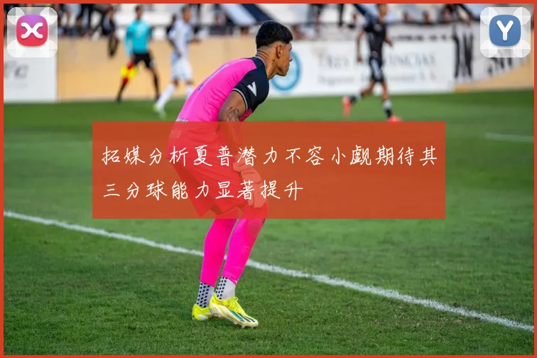 拓媒分析夏普潜力不容小觑期待其三分球能力显著提升
