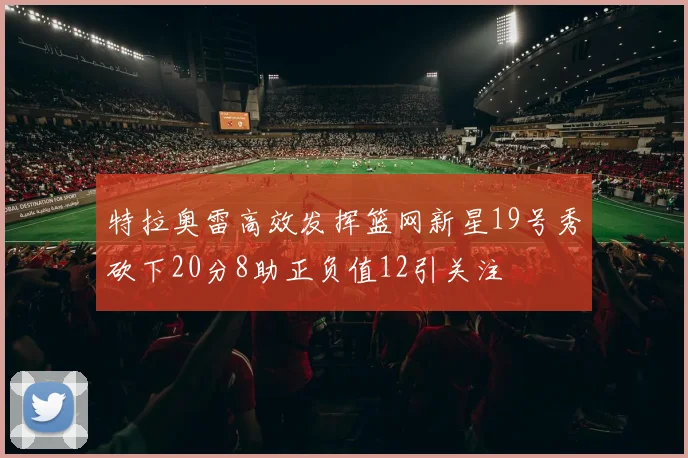 特拉奥雷高效发挥篮网新星19号秀砍下20分8助正负值12引关注