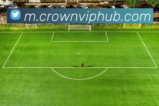 皇冠体育平台生态图