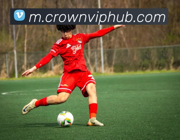 皇冠体育APP 封面图